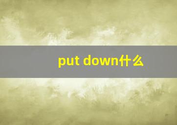 put down什么